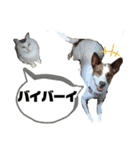 愛しのラピス（個別スタンプ：40）