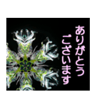 硝子ざんまいセット（個別スタンプ：3）