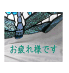 硝子ざんまいセット（個別スタンプ：11）