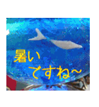 硝子ざんまいセット（個別スタンプ：26）