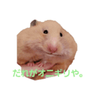 ハムスターのしょこら1改（個別スタンプ：2）