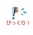 ハムスターのしょこら1改（個別スタンプ：8）