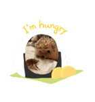 ハリネズミのはるちゃん♪（個別スタンプ：4）