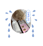 ハリネズミのはるちゃん♪（個別スタンプ：9）