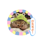 ハリネズミのはるちゃん♪（個別スタンプ：10）