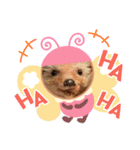 ハリネズミのはるちゃん♪（個別スタンプ：18）