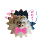 ハリネズミのはるちゃん♪（個別スタンプ：19）