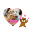 ハリネズミのはるちゃん♪（個別スタンプ：24）