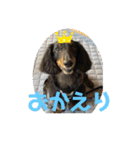 愛しのラブちゃんと仲間達（個別スタンプ：5）