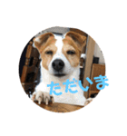 愛しのラブちゃんと仲間達（個別スタンプ：7）