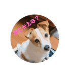 愛しのラブちゃんと仲間達（個別スタンプ：9）