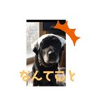 愛しのラブちゃんと仲間達（個別スタンプ：21）