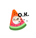 ネコ＆犬など（個別スタンプ：1）