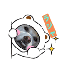 ネコ＆犬など（個別スタンプ：2）