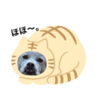 ネコ＆犬など（個別スタンプ：3）