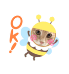 ネコ＆犬など（個別スタンプ：5）