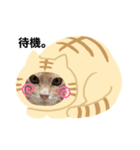 ネコ＆犬など（個別スタンプ：6）