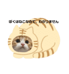 世界一かわいい赤ちゃんねこ（個別スタンプ：2）