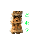 ココちゃんスタンプDX（個別スタンプ：21）