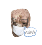 わんわん子（個別スタンプ：2）