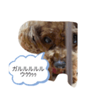 わんわん子（個別スタンプ：8）