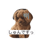 わんわん子（個別スタンプ：10）
