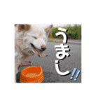 元気が出る我が家のスタンプ（個別スタンプ：6）