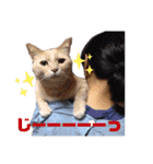 元気が出る我が家のスタンプ（個別スタンプ：8）