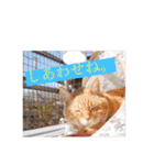 元気が出る我が家のスタンプ（個別スタンプ：13）