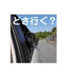 元気が出る我が家のスタンプ（個別スタンプ：20）