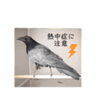 元気が出る我が家のスタンプ（個別スタンプ：22）