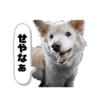 元気が出る我が家のスタンプ（個別スタンプ：31）