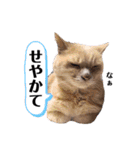 元気が出る我が家のスタンプ（個別スタンプ：32）