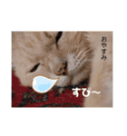 元気が出る我が家のスタンプ（個別スタンプ：36）