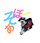 シュナウザー犬のベアテちゃん（個別スタンプ：11）
