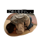 016soso（個別スタンプ：3）