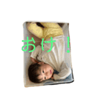 016soso（個別スタンプ：11）