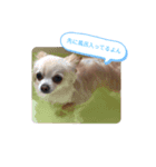 ツナぴよ③（個別スタンプ：2）