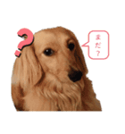 ツナぴよ③（個別スタンプ：5）