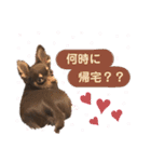 まいにち、ぽんちゃん（個別スタンプ：7）