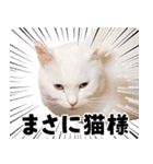 チムLINEスタンプ（個別スタンプ：12）