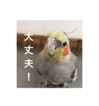 オカメの方愉快な仲間たち（個別スタンプ：4）