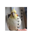 オカメの方愉快な仲間たち（個別スタンプ：6）