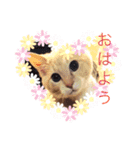 エルくん専用（個別スタンプ：3）