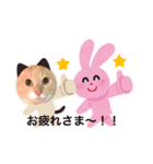 エルくん専用（個別スタンプ：4）