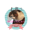 私とアニマル（個別スタンプ：1）