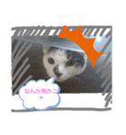私とアニマル（個別スタンプ：7）