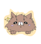 ゆるふわ毛長猫。（個別スタンプ：1）