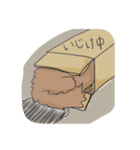 ゆるふわ毛長猫。（個別スタンプ：5）