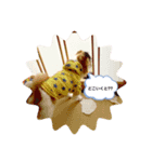 REN！！！！（個別スタンプ：2）